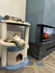 Кошачья игровая когтеточка с домиком для кошки столбы в х/б канате 90х75х55см бело синий - изображение 2
