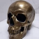 Декоративний череп із гіпсу - Gold skull - зображення 1