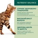 Вологий корм для котів Optimeal Adult 85 г - кролик та морква - изображение 3