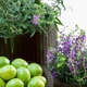 Вазон Keter Cylinder Planter M 18 л коричневий - зображення 4