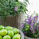 Вазон Keter Cylinder Planter S 7 л сірий - зображення 8