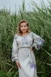 Платье-вышиванка Vyshyvanka "Петриковская роспись" 50 Серое 4550 - изображение 4