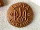 Пряничная доска Герб Slava Ukraine деревянная размер 14см*14см*2cм. Форма для формования пряников (1388) - изображение 3
