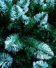 Штучна Ялинка Royal Tree RT-6-1 Олімпійська засніжена 90 см зелена - изображение 2