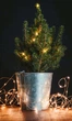 Гирлянда на батарейках Springos 1 м 10 LED CL4025 Warm White - изображение 9