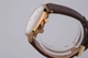 Мужские наручные часы Stuhrling original (1707891) - изображение 3