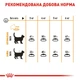Сухий корм для котів Royal Canin Hair & Skin 10 кг - изображение 6