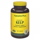 Ламінарія Nature's Plus Icelandic Kelp 300 Tabs - зображення 1