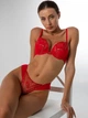 Комплект Dream Academy Gold Dream 1603 Бюстгальтер Push-up и трусики 1603 Красный 80С/L (13804) - изображение 6