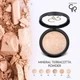 Минеральная пудра для лица Golden Rose Mineral Terracotta Powder, 12 г, №02 - изображение 3