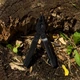 Мультитул Leatherman SuperTool 300 EOD - изображение 8