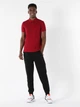 Поло длинное мужское Colin's CLTKTTSHM0766200DPR S Dark Red - изображение 4
