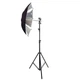 Набор студийного света с зонтом Prolighting PLAS 83 silver Kit-1 - изображение 1