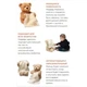 Интерактивный Говорящий мишка Пикабу Peekaboo Bear играющий с ребенком в прятки - изображение 7