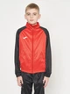 Детский спортивный костюм (толстовка + штаны) для мальчика Joma Academy IV 101966.601 100-109 см 6XS Красно-черный (8424309451271) - изображение 4