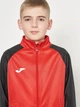 Детский спортивный костюм (толстовка + штаны) для мальчика Joma Academy IV 101966.601 100-109 см 6XS Красно-черный (8424309451271) - изображение 6