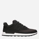 Sneakersy męskie Timberland Euro Trekker Low Mesh TB0A2DW80151 42 26.5 cm Czarne (196012189496) - obraz 1