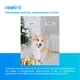 IP камера Reolink E1 Zoom - изображение 12