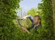 Ніжниці для живої ізгороди механічні Gardena NatureCut (12300-20) - зображення 2