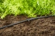 Шланг-дождеватель Gardena Micro-Drip-System 4,6 мм, 15 м (01362-20) - изображение 2