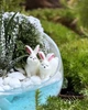 Флораріум з сукулентом Рік Кролика 10 см (5499) - зображення 2
