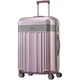 Чемодан Titan SPOTLIGHT FLASH/Wild Rose Средний Ti831405-12 - изображение 1