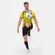 Футболка Joma TIGER II желто-черная L 101464.901 - изображение 5