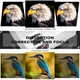 Портативный домашний проектор Topvision T21 HD LED 7000 Лм 240 дюймов g5 - изображение 6