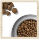 Сухой корм для собак Purina Dog Chow Adult с ягненком 2.5 кг (7613034485946) - изображение 7