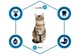 Сухий корм для котів Advance Cat Adult Chiсken and Rice з куркою та рисом 400 г - зображення 2