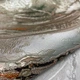 Обои виниловые на флизелиновой основе Emiliana Parati Carrara коричневый 1,06 х 10,05м (84656) - изображение 6
