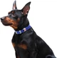 Нашийник для собак шкіряний Collar WAUDOG Classic, XS, Ш 12 мм, Дов 21-29 см (02029) - зображення 4