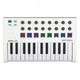 MIDI-клавіатура Arturia Minilab MkII + Arturia Analog Lab V - изображение 2
