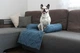 Лежак для Собак и Котов на диван Haustier Sofa Bed Denim S - 60х90х15см (S9-1-040) - изображение 7