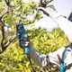 Аккумуляторный секатор Makita DUP361Z (без АКБ) + рюкзак - изображение 2