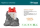 Полимерно-композитный газовый баллон Hexagon Ragasco 12,5л - изображение 2