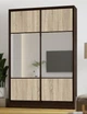 Шафа купе Гарант дводверна 140*45*220 дзеркало ДСП - зображення 1