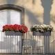 Розумний вазон Lechuza Balconera Cottage 80 12 л пісочно-коричневий 15456 - изображение 9