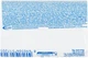 Мыло антибактериальное 2в1 - Activex Duo Fresh 90g (558023-93137) - изображение 2