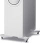 Акустика KEF R5 White - зображення 6