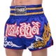 Шорты для тайского бокса и кикбоксинга TKTBS-056 Top King Boxing L Синий (37551094) - изображение 2