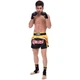 Шорты для тайского бокса и кикбоксинга TKTBS-146 Top King Boxing M Черный (37551096) - изображение 6