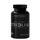 Стимулятор тестостерона Powerful Progress Tribu-X 60 капс - изображение 1