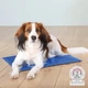 Килимок для собак і кішок Trixie охолоджуючий 90х50 см Блакитний (4011905286860) - изображение 2
