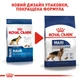 Корм для дорослих собак ROYAL CANIN MAXI ADULT 4.0 кг - зображення 3
