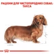 Сухой корм для собак породы такса Royal Canin Dachshund Adult, 1.5 кг - изображение 3