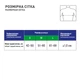 Корсет MedTextile Реклінатор (коректор постави) дитячий, розмір M, люксшт (4820137293146) - зображення 5
