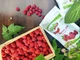 Малина сублімована Vestra Healthy ціла 40 г - зображення 3