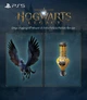 Игра Hogwarts Legacy для PS5 (Blu-ray диск) - изображение 2