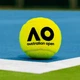 Теннисные мячи Dunlop Australian Open 4ball - изображение 6